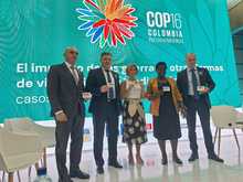 Desde la Cop16 piden detener las guerras y hacer la paz con la naturaleza