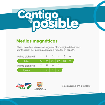 NIT terminado en 8 - Presentaci&oacute;n de Medios Magn&eacute;ticos