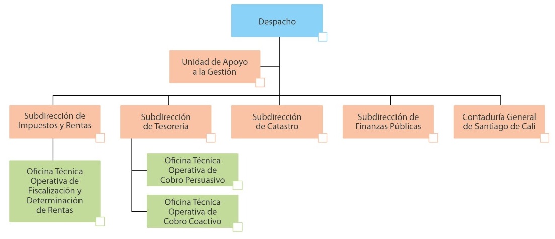 Estructura del organismo