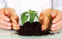 D&iacute;a Nacional de la Educaci&oacute;n Ambiental