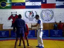 CAMPEONATO NACIONAL DE SAMBO CLASIFICATORIO A PANAMERICANO  
