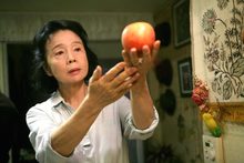 Semana del D&iacute;a Mundial de la Poes&iacute;a  CICLO LETRAS EN EL CELULOIDE  Pel&iacute;cula: POES&Igrave;A de Lee Chang-dong.  Fecha: Martes, marzo 21 de 2017 Lugar: Sala 218 Centro Cultural de Cali Hora: 5:00 PM