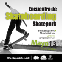 Encuentro de Skateboarding
