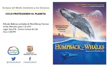 Semana del Medio Ambiente y los Oc&eacute;anos  CICLO PROTEGIENDO EL PLANETA Pel&iacute;cula: Ballenas Jorobadas de MacGillivray Freeman Fecha: Mi&eacute;rcoles, junio 7 de 2017 Lugar: Sala 218 &ndash; Centro Cultural de Cali H