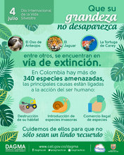 D&iacute;a Internacional de la Vida Silvestre