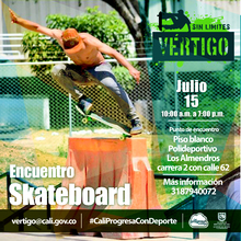 Encuentro Skateboard V&eacute;rtigo sin limites