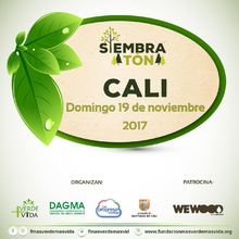Siembrat&oacute;n Cali