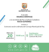 Sesi&oacute;n Consejo Municipal de Paz