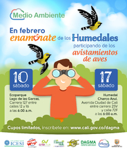 Avistamiento de aves