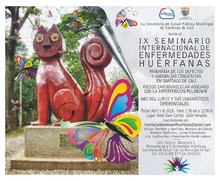 IX Seminario Internacional de Enfermedades Huerfanas