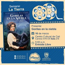 Semana La Tierra Pelicula:Gorilas en la niebla de Michael David Apted  A&ntilde;o:1988 Duraci&oacute;n: 129 minutos  Estados Unidos - Sala 218 &ndash; Centro Cultural de Cali