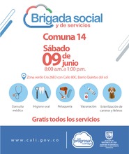 Brigada social comuna 14