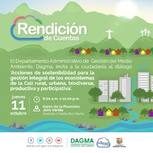 Rendici&oacute;n de cuentas - PSA