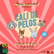 Cali de pelos