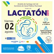 Lactat&oacute;n 2019