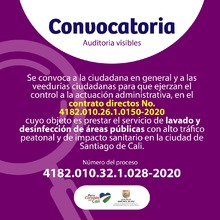 VEEDURIAS CIUDADANAS CIUDADANA EN GENERAL