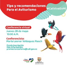 Tips y recomendaciones para el avisturismo