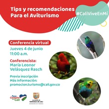Tips y recomendaciones para el avisturismo