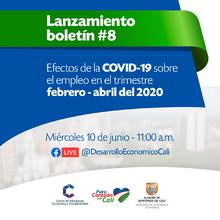 Lanzamiento Bolet&iacute;n CIEC # 8