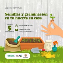 Semillas y germinaci&oacute;n en tu huerta en casa