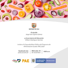 SEGUNDA MESA P&Uuml;BLICA DEL PROGRAMA DE ALIMENTACION ESCOLAR (PAE) 2020