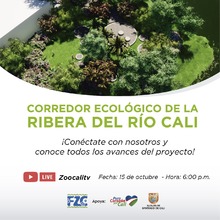Primer avance del Proyecto Corredor Ecol&oacute;gico de la Ribera del r&iacute;o Cali