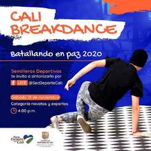 Batallando en paz 2020
