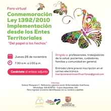 Foro virtual Conmemoraci&oacute;n Ley 1392/2010  Implementaci&oacute;n desde los Entes Territoriales  &ldquo;Del Papel a los Hechos&rdquo;.