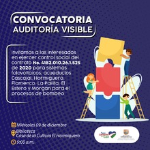 Convocatoria Auditoria Visible