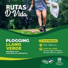 Plogging Llano Verde