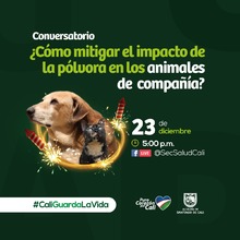 Conversatorio &iquest;Como mitigar el impacto de la p&oacute;lvora en los animales de compa&ntilde;ia?