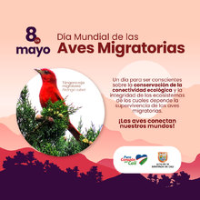 D&iacute;a Mundial de las Aves Migratorias