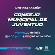 Capacitaci&oacute;n Concejo Municipal de Juventudes