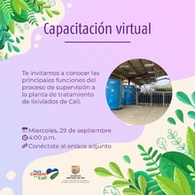 Capacitaci&oacute;n virtual