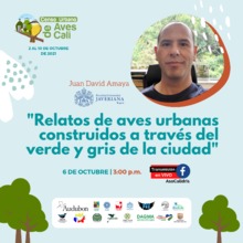 Conferencia: Relatos de aves urbanos construidos a trav&eacute;s del verde y gris de la ciudad.