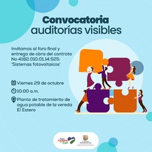 Auditor&iacute;a visible El Estero