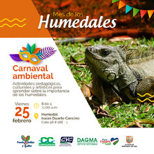 Carnaval Ambiental