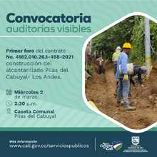 Convocatoria auditor&iacute;as visibles