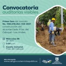 Convocatoria auditor&iacute;as visibles