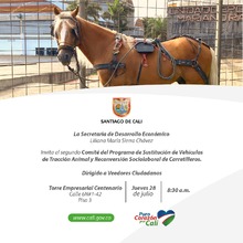 Comit&eacute; del programa de sustituci&oacute;n de tracci&oacute;n animal