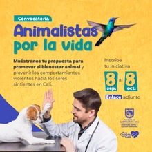 Animalistas por la vida: una convocatoria de cultura ciudadana