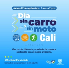 D&iacute;a sin carro y sin moto en Cali
