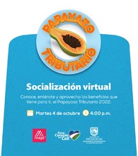 Socializaci&oacute;n de informaci&oacute;n sobre el PAPAYAZO TRIBUTARIO 2022
