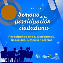 D&iacute;a de la participaci&oacute;n