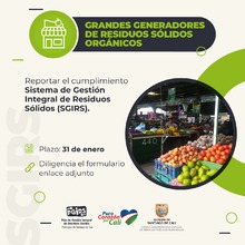 &Uacute;ltimo plazo para reportar la implementaci&oacute;n del SGIRS por los Grandes Generadores de Residuos S&oacute;lidos Org&aacute;nicos 