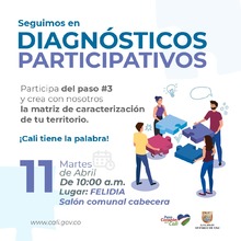 Diagn&oacute;sticos participativos Felidia