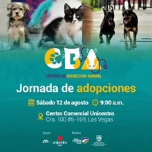 Jornada de adopciones