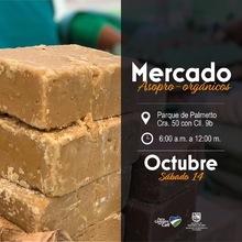 Mercado Org&aacute;nico Parque de Palmetto 