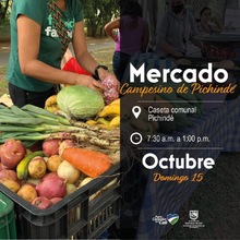 Mercado Campesino de Pichind&eacute;