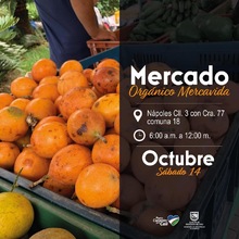 Mercado Org&aacute;nico Mercavida